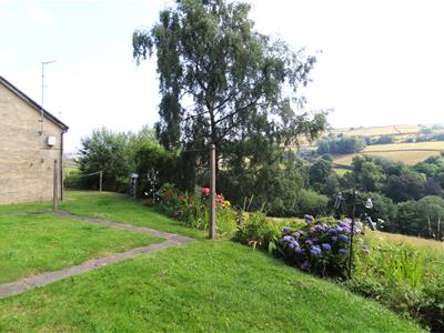 Picture 16